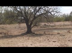 SW Pond the East gap.jpg